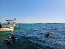 Image result for Abyss Dive Club