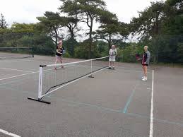 Image result for South London Area Pickleball - SLAP!