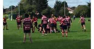 Image result for Sefton Rufc