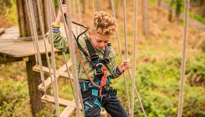 Image result for Go Ape! Alice Holt