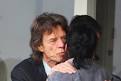 Lily Allen Mick Jagger Celebrities Attend The 2nd NatWest One Day ... - Celebrities+Attend+2nd+NatWest+One+Day+International+EiYcqZuk4Frm