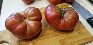 Afbeeldingsresultaat voor black elephant tomato