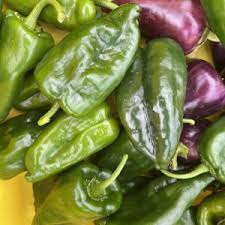 Afbeeldingsresultaat voor paper lantern hot pepper