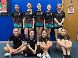 Image result for Brampton Royal Oak Netball Team