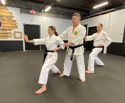 Image result for Ifield Shotokan Karate Club