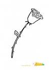Malvorlage Rose - Ausmalbild Rose auch als Window Color Vorlage ...