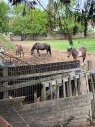 Image result for The Ken Barrington Indoor Cricket Centre