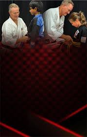 Image result for Everitt Karate Academy