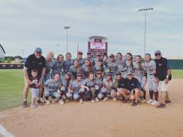 Image result for Dragons Softball Club