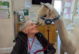 Image result for Grimsby Archers