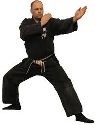 Image result for Peter Kings Dojo