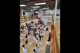 Image result for Kees Tae Kwon Do
