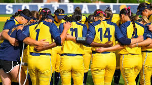 Image result for Lions Softball Club