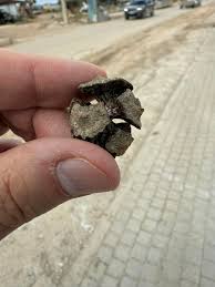 Attēlu rezultāti vaicājumam “Badhamia dubia spores”