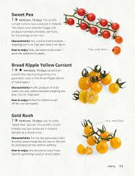 Afbeeldingsresultaat voor broad ripple yellow currant tomato