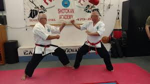 Image result for Hetton and Murton Karate Academy