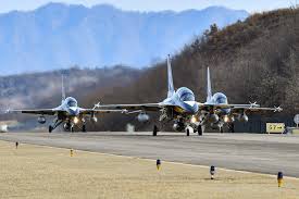 Image result for South East Jets