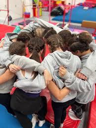 Image result for Arabian School Of Gymnastics, Milton Keynes