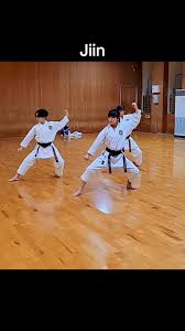 Image result for Jin Sei Kai Shotokan Karate
