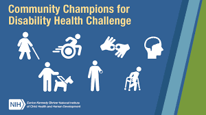 Image result for Disability Challengers