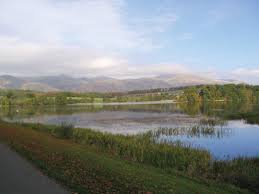 Image result for Wee County Harriers