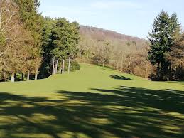 Image result for Puttenham Golf Club