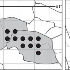 Attēlu rezultāti vaicājumam “Oxycoccus microcarpus”