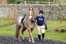 Image result for Chiddingfold Branch Of The Pony Club
