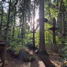Image result for Go Ape! Thetford