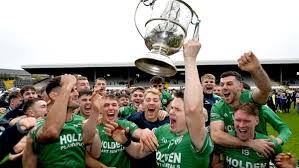Image result for Shamrocks Hurling & Football Club
