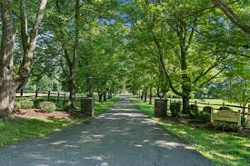 Image result for Annandale Equestrian Centre