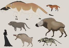 Attēlu rezultāti vaicājumam “Artiodactyla”