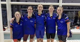 Image result for Kingfishers Netball Club