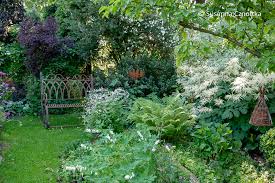 Image result for tränendes Herz