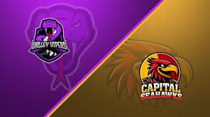 Image result for Spen Valley Vipers