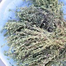 Image result for Thymian