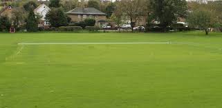 Image result for Addington Village Cricket Club