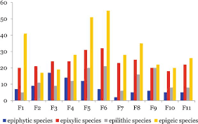 Attēlu rezultāti vaicājumam “Homomallium incurvatum sporophyte”
