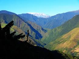 Výsledek obrázku pro yungas