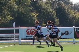 Image result for Harpenden Rugby Club