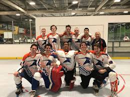 Image result for Walsall Roller Hockey Club