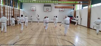 Image result for Haslemere Karate Club