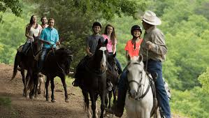 Image result for Cliff Hatch Stables
