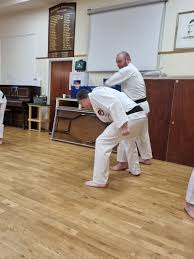 Image result for Thames Valley Shotokan Karate