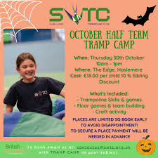 Image result for Swallows Trampoline Club