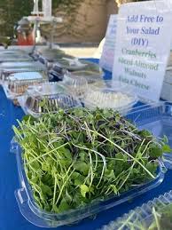 Image result for selvatici tehron