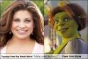 like fiona from shrek