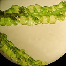 Attēlu rezultāti vaicājumam “Porella cordaeana”
