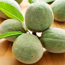 Image result for fresh green almonds