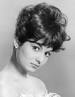Rosanna Schiaffino Biography